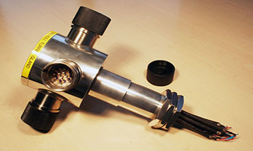 submarine gland